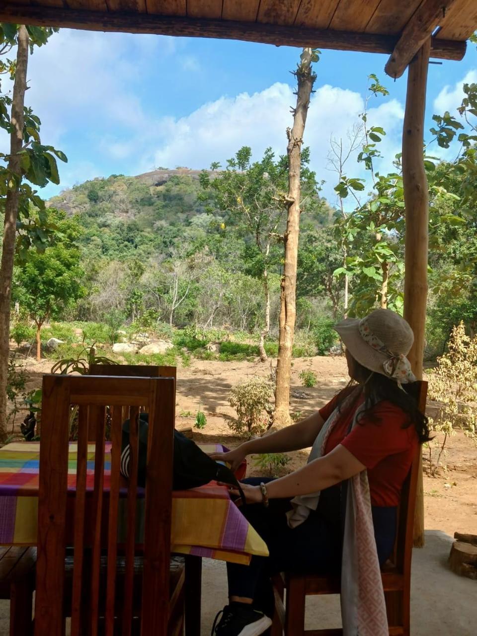Ferienwohnung Pidurangala View Treehouse Sigiriya Exterior foto