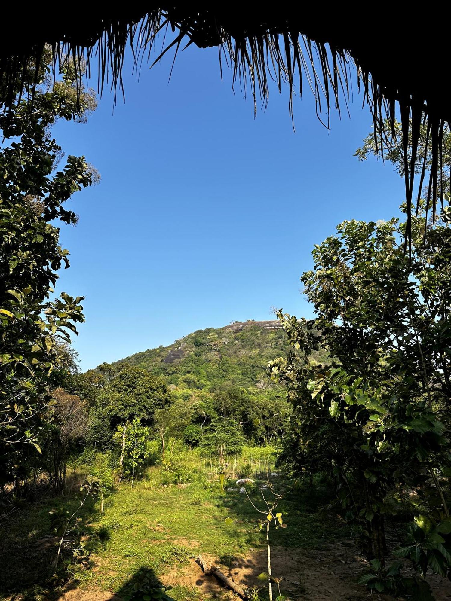 Ferienwohnung Pidurangala View Treehouse Sigiriya Exterior foto