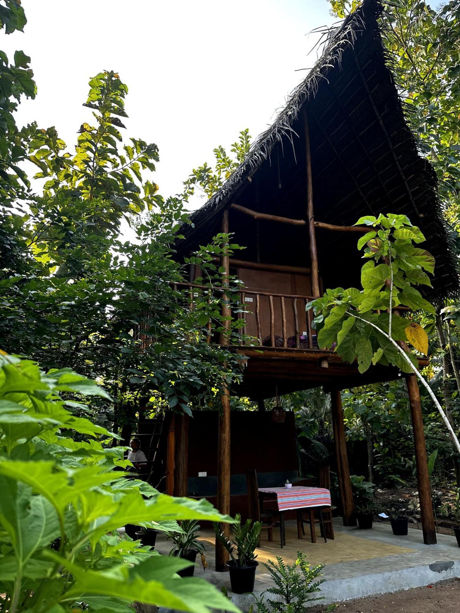 Ferienwohnung Pidurangala View Treehouse Sigiriya Exterior foto