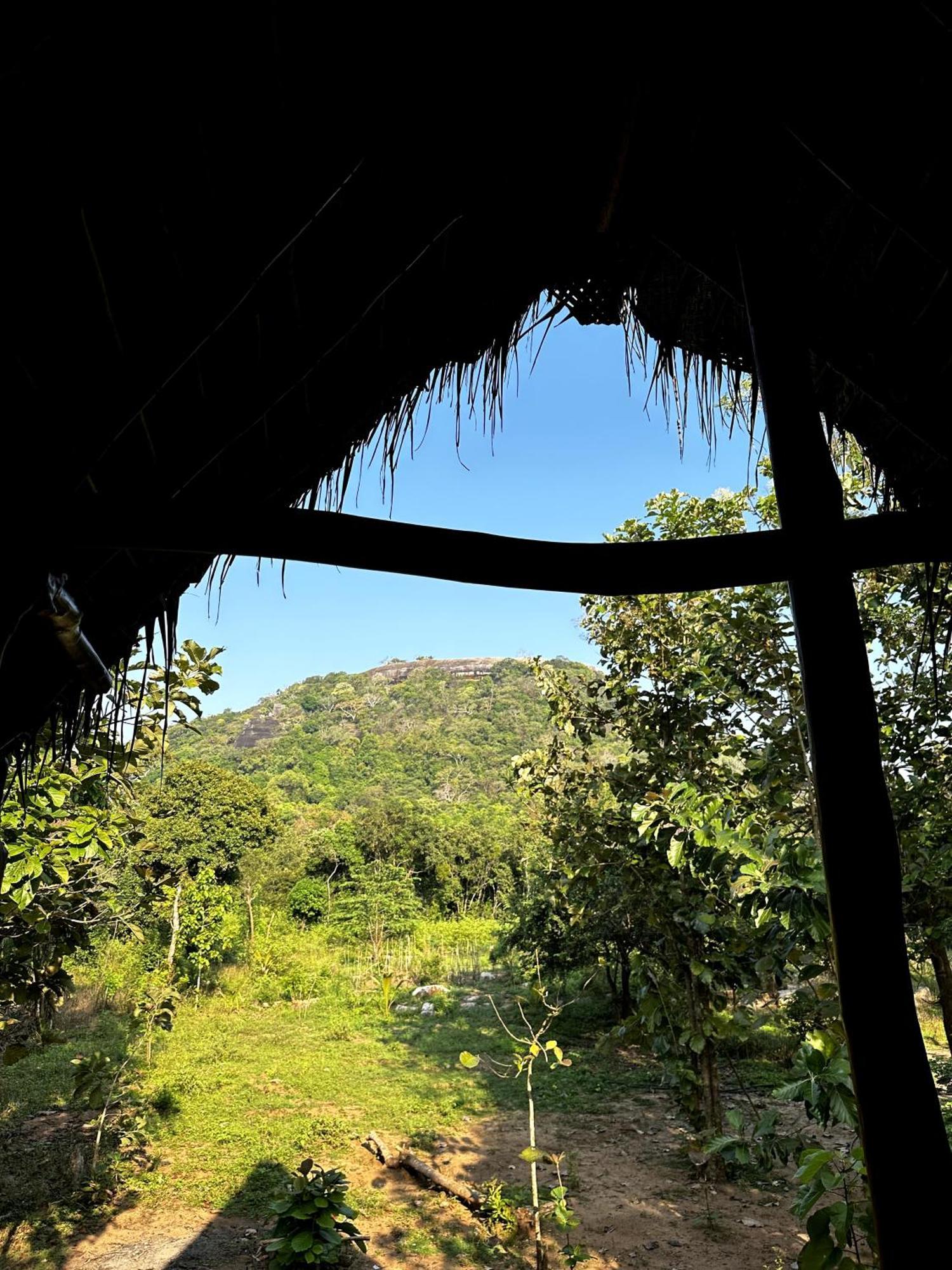 Ferienwohnung Pidurangala View Treehouse Sigiriya Exterior foto