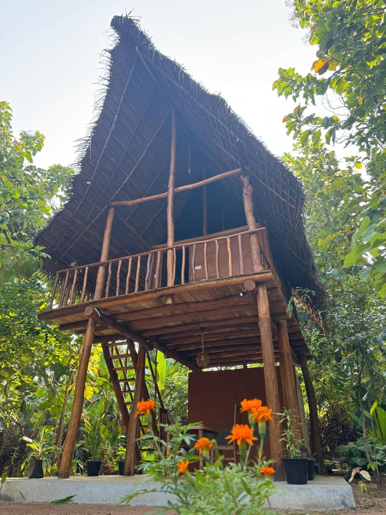 Ferienwohnung Pidurangala View Treehouse Sigiriya Exterior foto