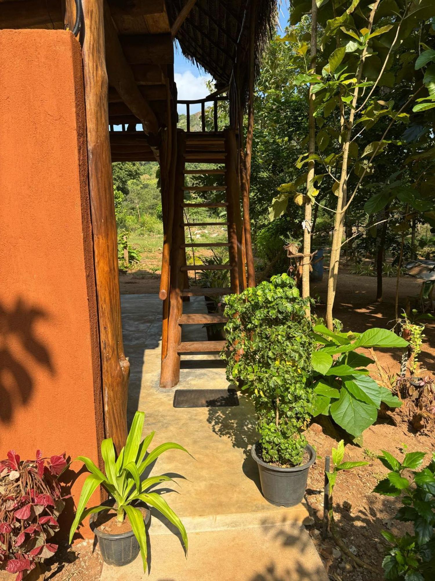 Ferienwohnung Pidurangala View Treehouse Sigiriya Exterior foto